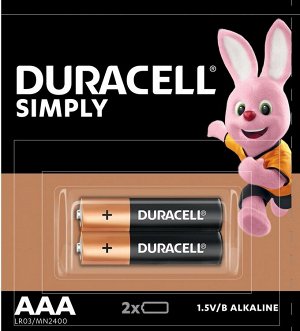 Батарейки Duracell Simply AAA 2 шт.