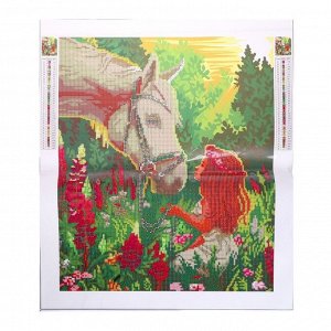 Алмазная мозаика с частичным заполнением «Девочка и лошадка» без рамы 40х50 см