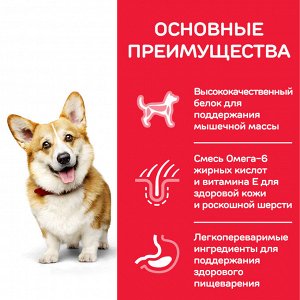 Hill&#039;s Science Plan Сухой корм для взрослых собак мелких и миниатюрных пород для поддержания здоровья кожи и шерсти с курицей 1,5 кг