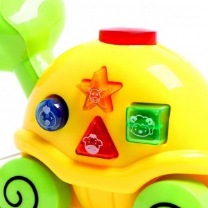 Музыкальная игрушка «Музыкальная черепашка», звук, свет, цвета МИКС