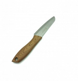 Нож FESSLE Нож FESSLE Материал: ручка-пластик, лезвие-нержавеющая сталь Размер: длина лезвия 10 см