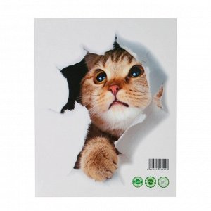 Наклейка интерьерная 3D "Кошка" на стену, 25 х 20 см, влагостойкая, ПВХ
