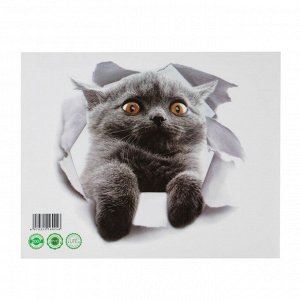 Интерьерная наклейка 3Д TAKE IT EASY «Кошка шотландская», на стену, 25x23 см, влагостойкая, ПВХ