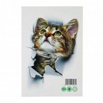 Наклейка интерьерная 3D &quot;Кошка&quot; на стену, 25 х 17 см, влагостойкая, ПВХ