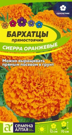 Бархатцы Сиерра Оранжевые/Сем Алт/цп 0,3 гр.
