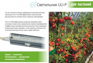 Светильник для растений светодиодный линейный ULI-P10-18W/SPFR IP40 SILVER , 560мм, выкл. на корпусе. Спектр для фотосинтеза.
