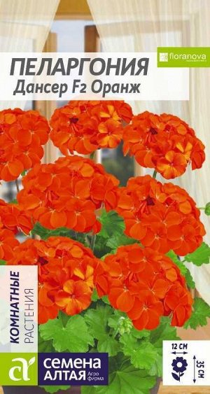 Пеларгония Дансер Оранж зональная/Сем Алт/цп 3 шт.