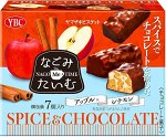 FUJIYA / YBC Spice Chocolate - шоколад с яблоком и корицей