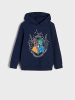 Худи Harry Potter