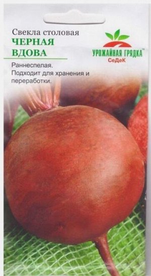 Свекла Черная Вдова (Код: 13645)