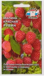 Ягода Малина Красная Рубин (Код: 79245)