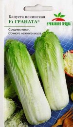 Капуста пекинская Граната (Код: 81762)