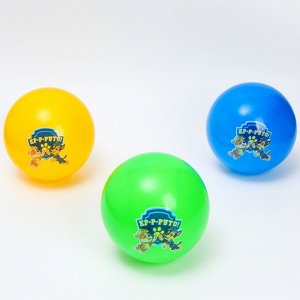 Мяч детский Paw Patrol "Кр-р-руто" 22 см, 60 гр, цвета МИКС