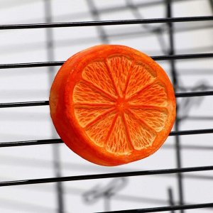 Минеральный камень "Пижон" для грызунов, апельсин, 23 г