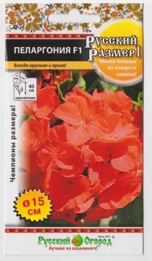 Пеларгония Русский размер F1 (Код: 2469)