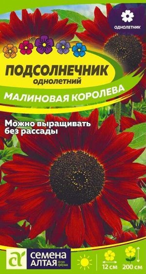 Подсолнечник Малиновая Королева/Сем Алт/цп 0,5 гр.