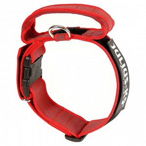 JULIUS-K9 ошейник для собак Color & Gray (47-67см/5см), закрытая ручка + скрытый локер, красный
