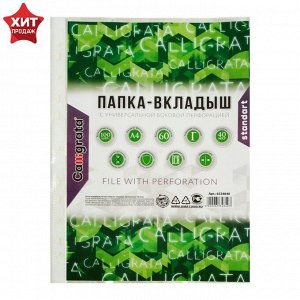 Файл-вкладыш А4 Calligrata, 40 мкм, глянцевый, вертикальный, 100 штук