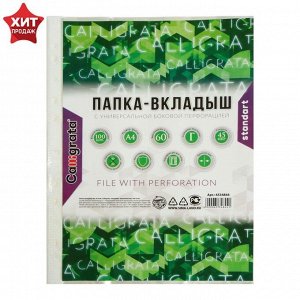 Файл-вкладыш А4 Calligrata, 45 мкм, глянцевый, вертикальный, 100 штук