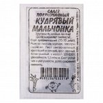 Семена Салат &quot;Кудрявый мальчонка&quot;, бп, 0,5 г