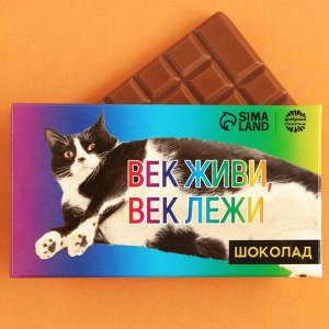 Подарочный шоколад «Век живи, век лежи», 27 г.