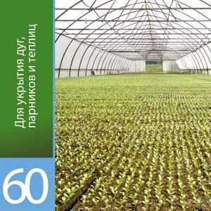 Упаковка АГРОТЕКС 60 (3,2м*10м) 1/8