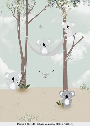 Фотообои Забавные коалы