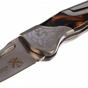 Складной нож Stinger с клипом, 165 мм, рукоять: нержавеющая сталь, дерево, подарочный бокс