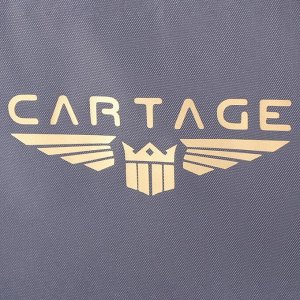 Термосумка Cartage Т-11, серая, 17-18 литров, 35х21х24 см