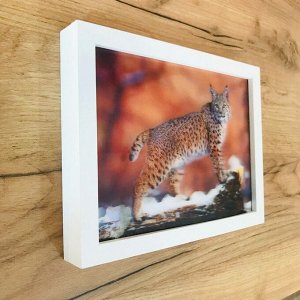 3Д картинка "Рысь" 14,5 х 19,5 см х Ж-0019, голографическая открытка с изображением рыси, без рамки