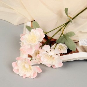 Цветы искусственные "Бегония Вайт" 60 см, розовый
