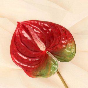 Цветы искусственные "Антуриум" 60 см, красный