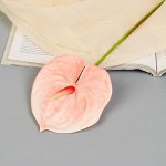 Цветы искусственные «Антуриум», h=60 см, светло-розовые