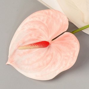 Цветы искусственные "Антуриум" 60 см, светло-розовый