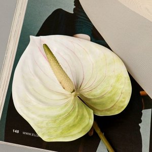 Цветы искусственные "Антуриум" 60 см, белый