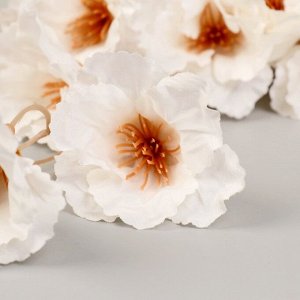 Цветы искусственные "Гелениум" 101 см, белый