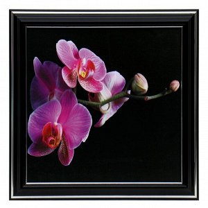 Картина "Орхидея" 18х18 (21х21)см