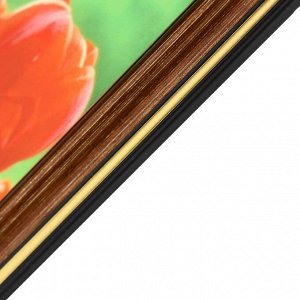 Картина "Тюльпаны" 20х25 (22х27) см