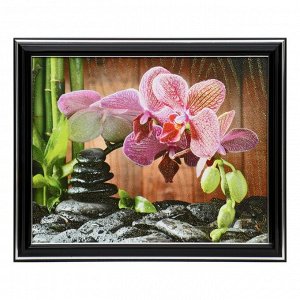 Картина "Орхидея" 20х25 (22х27) см