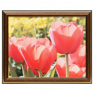 Картина "Солнечные тюльпаны" 20х25 (22х27) см