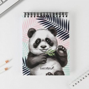 Скетчбук на гребне "Панда", твёрдая обложка, А6, 80 листов