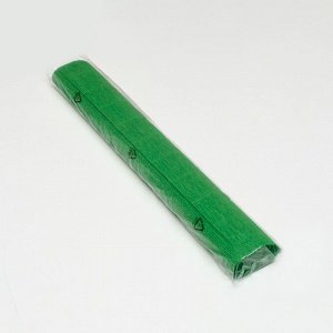 Бумага для упаковок и поделок, Cartotecnica Rossi, гофрированная, зеленая, однотонная, двусторонняя, рулон 1 шт., 0,5 х 2,5 м