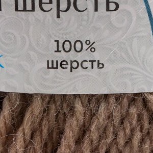 Пряжа "Аргентинская шерсть" 100% импортная п/т шерсть 200м/100гр (007, лен)