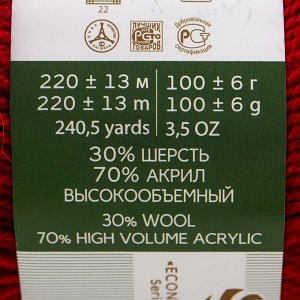 Пряжа "Народная" 30% шерсть, 70% акрил объёмный 220м/100гр (272-Вишня)