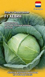 Капуста белокоч. Кевин F1 10 шт. (Голландия) Н18