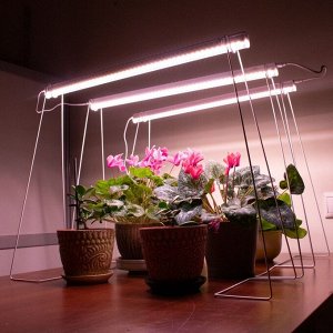 Светильник для растений линейный, 9 Вт, L572мм, розовый спектр