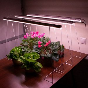 Светильник для растений линейный, 14 Вт, L872мм, розовый спектр
