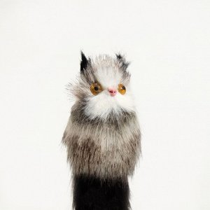 Игрушка для кошек "Кот-дружок", искусственный мех, корпус 7 см, бело-коричневая/чёрная