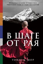 В шаге от раяПравдивая история путешествия тибетского ламы в Страну Бессмертия