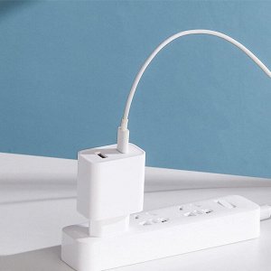 Зарядное устройство Xiaomi Mi USB+Type-C / 33W